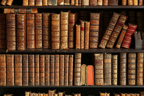 Many books displayed on a shelf
