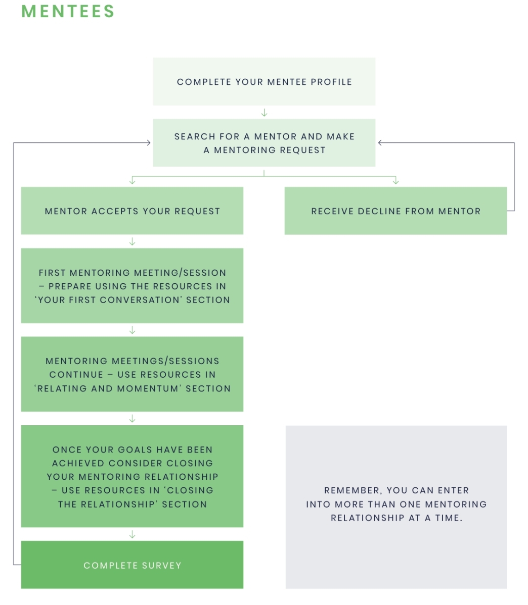 A flowchart created as guidance for mentees.