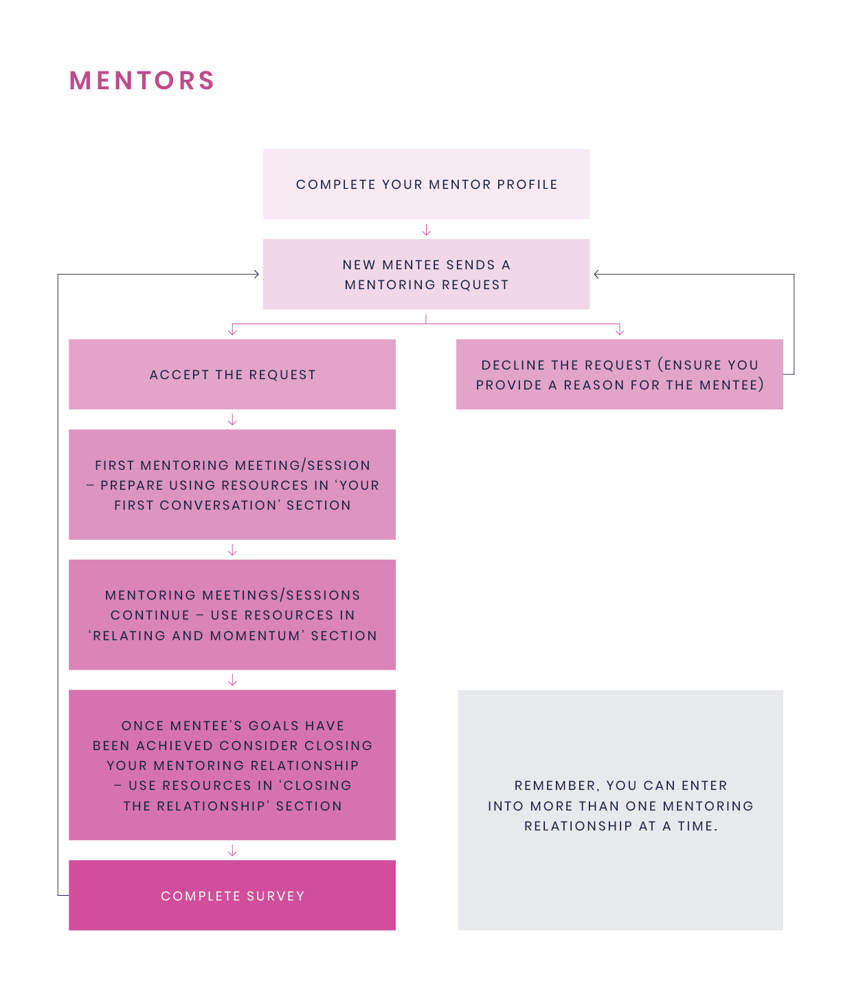 A flowchart created as guidance for mentors.
